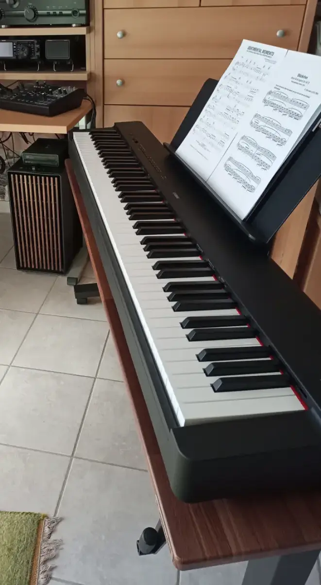 Piano Yamaha P-225